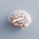 Why You're So Tired During Menopause (And What Your Cells Have to Do With It)